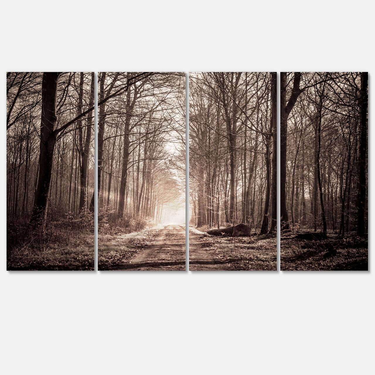 Designart - Forest Trail in Sepia - Landscape Photography Canvas Art Print